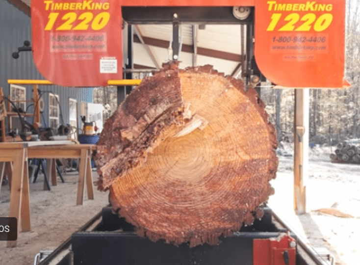 End of log on TimberKing