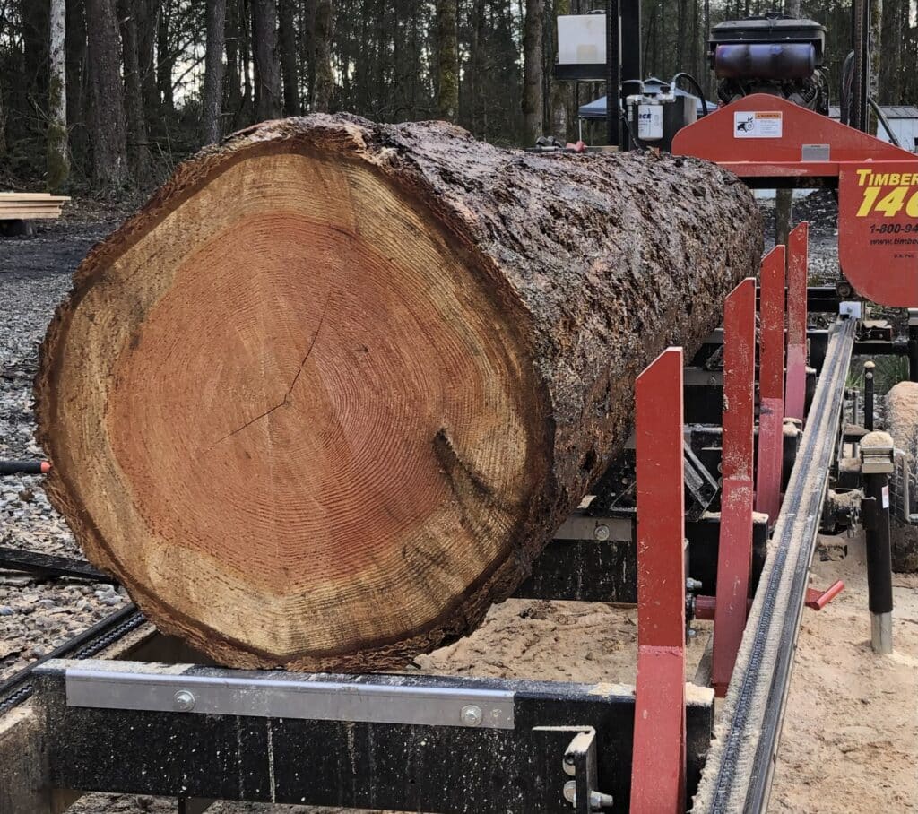 Large log on TK 1400