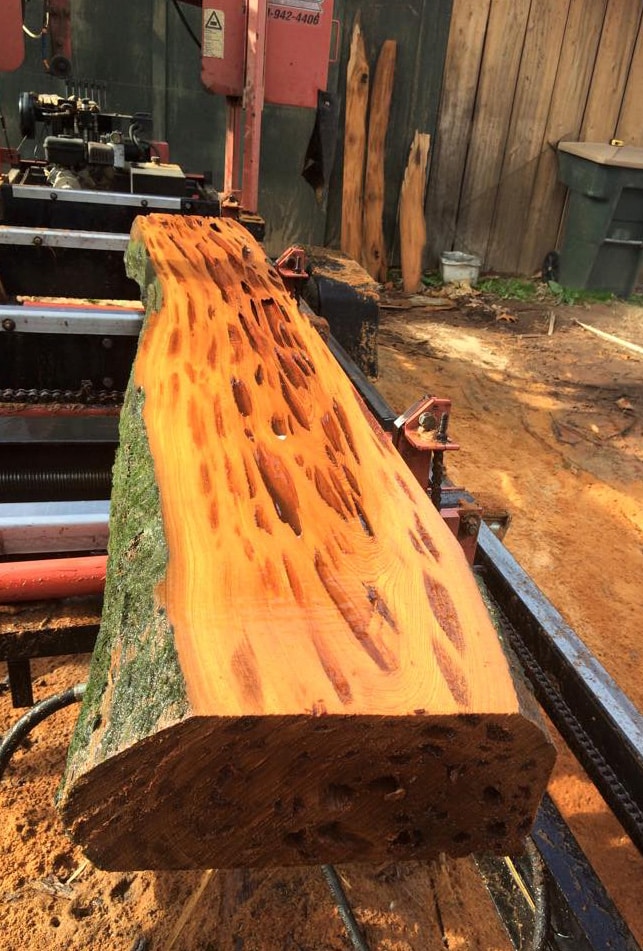 Pecky Cypress comes off the mill