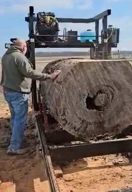 Huge log cut into slabs