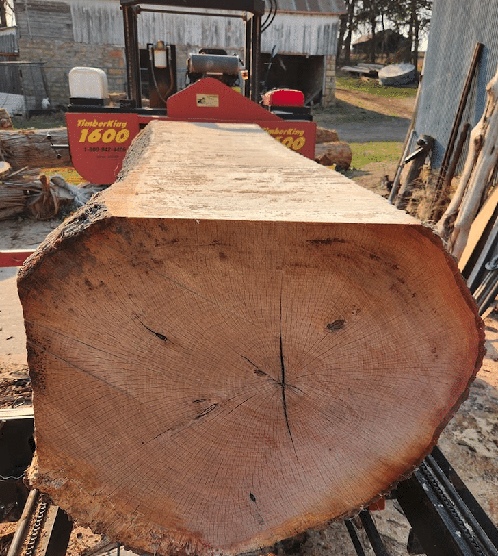 Big log on a TimberKing
