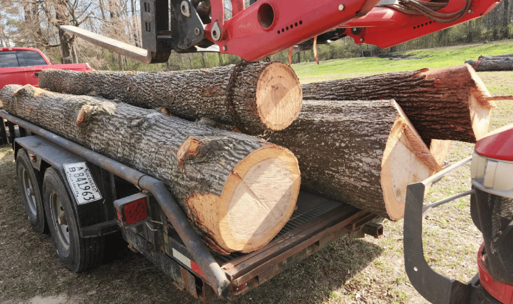 Bobby's load of logs