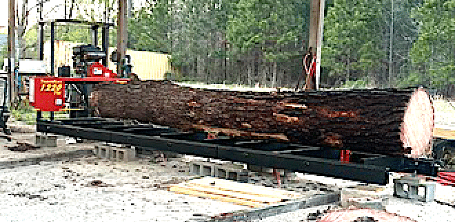 Huge log on TimberKing 1220