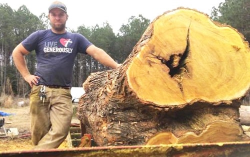 Osage orange log ready to go onto his TimberKing 1220