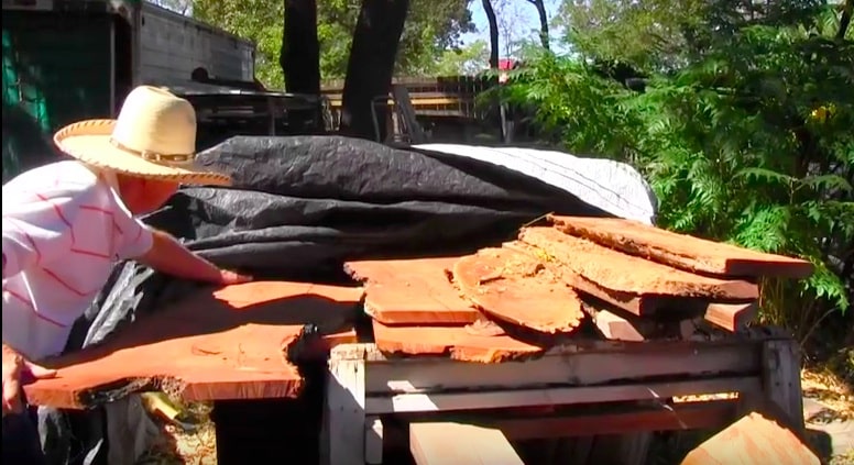 Doyle saws his own lumber so he has an endless supply of raw materials for his art, carpentry, sculpture, and more!