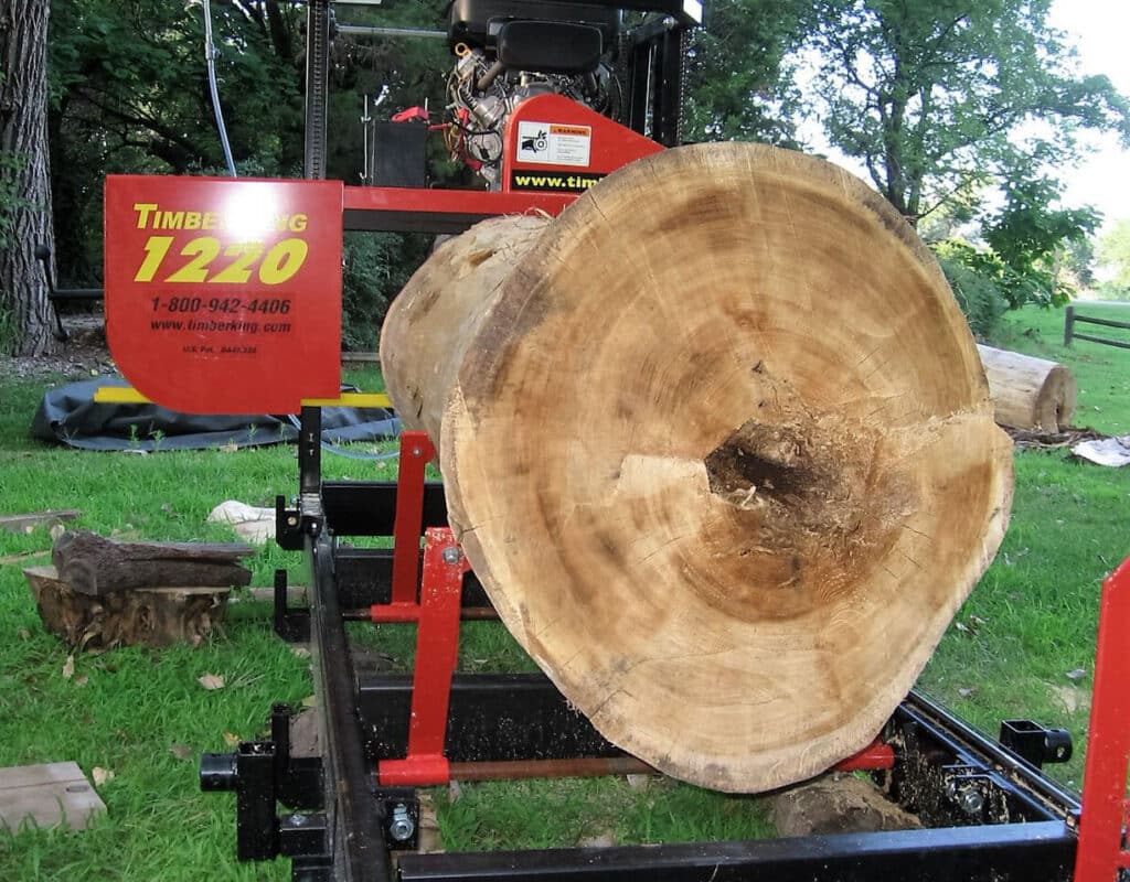 Cottonwood grows straight and tall in Jim's part of the Midwest. Jim says it's extremely strong and tough, good sawing on his TimberKing.