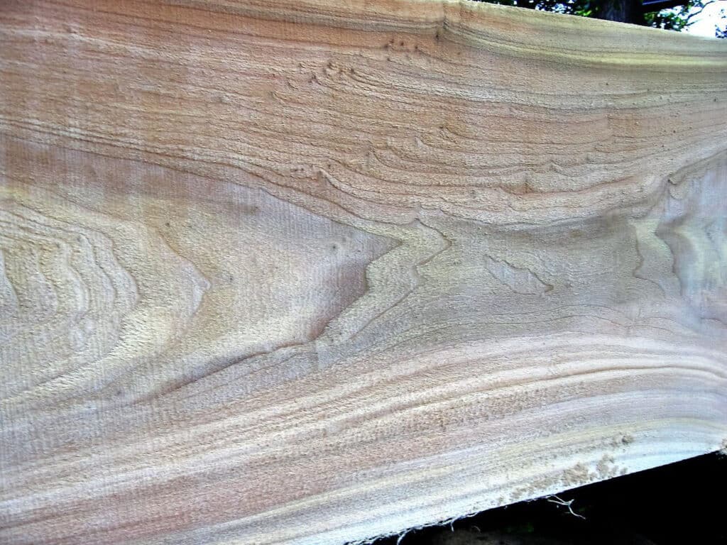 cottonwood-grain