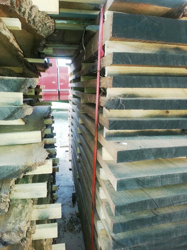 What started as two big walnut trees ended up as high quality, high dollar walnut lumber once Dennis put them through his TimberKing.